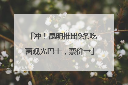 冲！昆明推出9条吃菌观光巴士，票价→