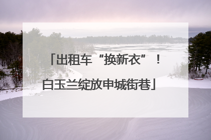 出租车“换新衣”！白玉兰绽放申城街巷