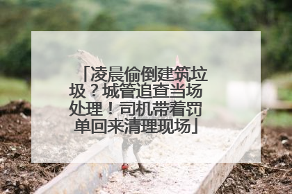 凌晨偷倒建筑垃圾？城管追查当场处理！司机带着罚单回来清理现场