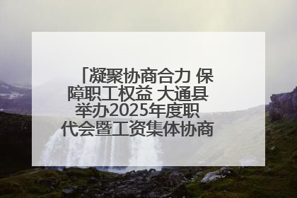 凝聚协商合力 保障职工权益 大通县举办2025年度职代会暨工资集体协商现场观摩交流活动