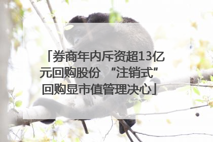 券商年内斥资超13亿元回购股份 “注销式”回购显市值管理决心