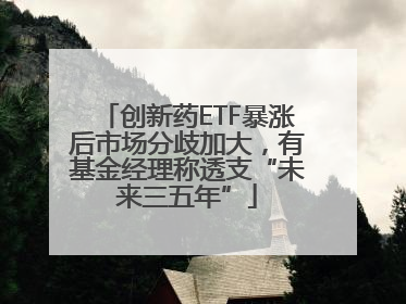创新药ETF暴涨后市场分歧加大，有基金经理称透支“未来三五年”