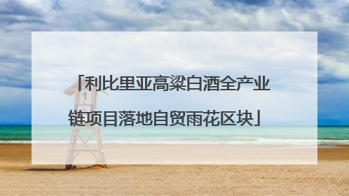 利比里亚高粱白酒全产业链项目落地自贸雨花区块