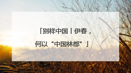 别样中国丨伊春，何以“中国林都”