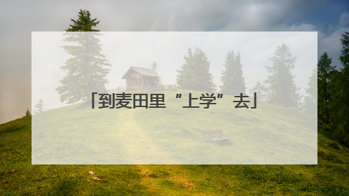 到麦田里“上学”去