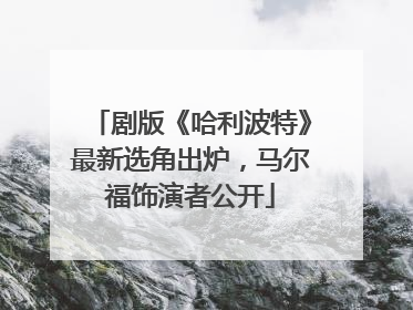 剧版《哈利波特》最新选角出炉，马尔福饰演者公开
