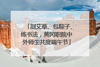 割艾草、包粽子、练书法，黄冈职院中外师生共度端午节