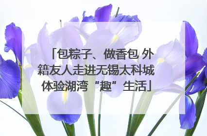 包粽子、做香包 外籍友人走进无锡太科城体验湖湾“趣”生活