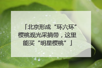 北京形成“环六环”樱桃观光采摘带，这里能买“明星樱桃”