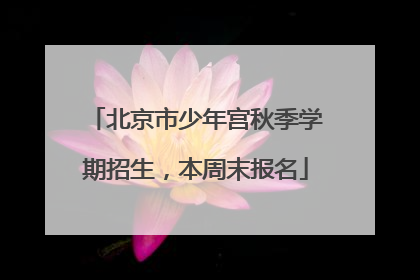 北京市少年宫秋季学期招生，本周末报名
