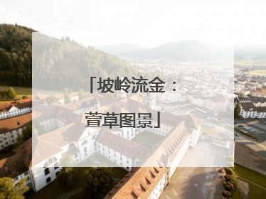 坡岭流金：萱草图景
