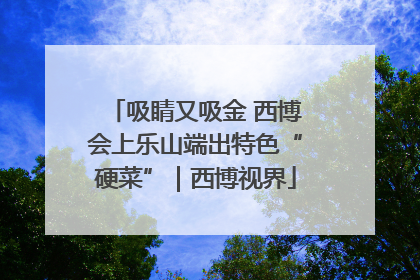 吸睛又吸金 西博会上乐山端出特色“硬菜”｜西博视界