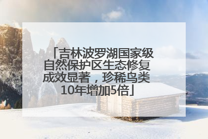 吉林波罗湖国家级自然保护区生态修复成效显著，珍稀鸟类10年增加5倍