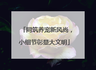同筑养宠新风尚，小细节彰显大文明