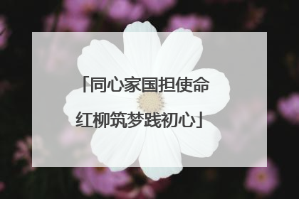 同心家国担使命 红柳筑梦践初心