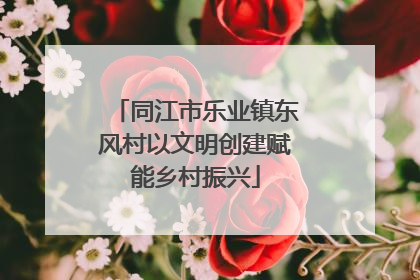 同江市乐业镇东风村以文明创建赋能乡村振兴