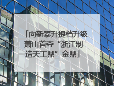 向新攀升提档升级 萧山首夺“浙江制造天工鼎”金鼎