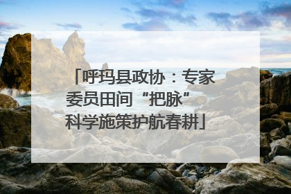 呼玛县政协：专家委员田间“把脉” 科学施策护航春耕