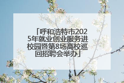 呼和浩特市2025年就业创业服务进校园暨第8场高校巡回招聘会举办