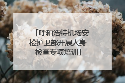 呼和浩特机场安检护卫部开展人身检查专项培训