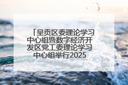 呈贡区委理论学习中心组暨数字经济开发区党工委理论学习中心组举行2025年第七次学习会议