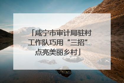 咸宁市审计局驻村工作队巧用“三招”点亮美丽乡村