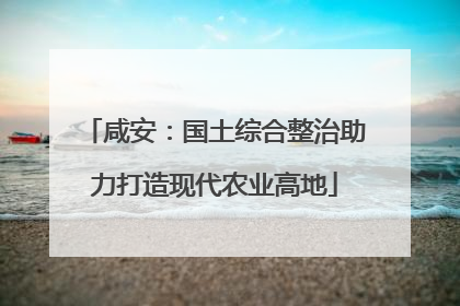咸安：国土综合整治助力打造现代农业高地