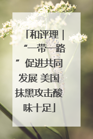 和评理｜“一带一路”促进共同发展 美国抹黑攻击酸味十足