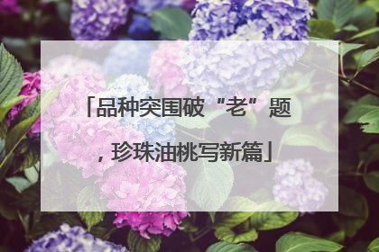 品种突围破“老”题，珍珠油桃写新篇