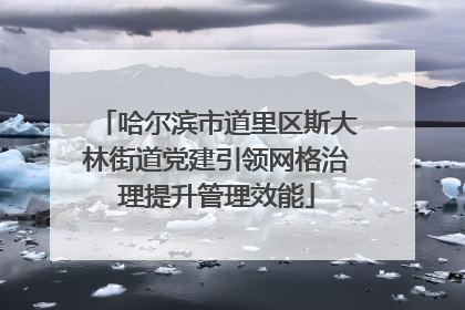哈尔滨市道里区斯大林街道党建引领网格治理提升管理效能