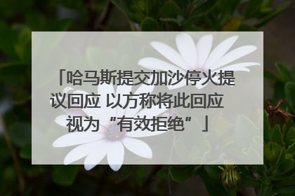 哈马斯提交加沙停火提议回应 以方称将此回应视为“有效拒绝”