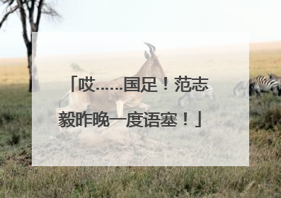 哎……国足！范志毅昨晚一度语塞！