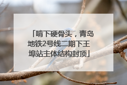 啃下硬骨头，青岛地铁2号线二期下王埠站主体结构封顶