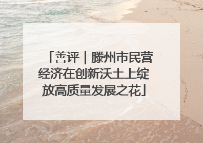 善评｜滕州市民营经济在创新沃土上绽放高质量发展之花