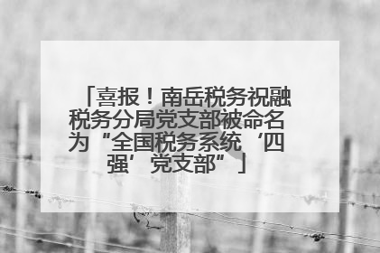 喜报！南岳税务祝融税务分局党支部被命名为“全国税务系统‘四强’党支部”