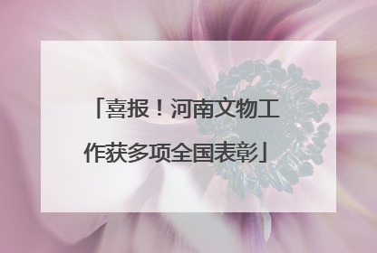 喜报！河南文物工作获多项全国表彰