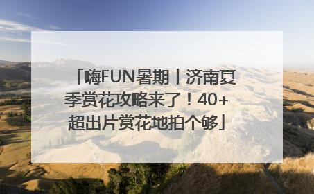 嗨FUN暑期丨济南夏季赏花攻略来了！40+超出片赏花地拍个够