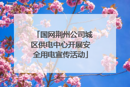 国网荆州公司城区供电中心开展安全用电宣传活动