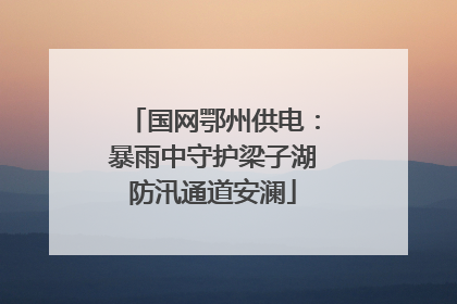 国网鄂州供电：暴雨中守护梁子湖防汛通道安澜