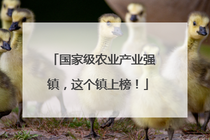 国家级农业产业强镇，这个镇上榜！