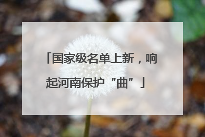 国家级名单上新，响起河南保护“曲”