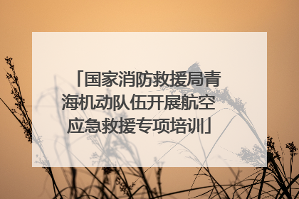 国家消防救援局青海机动队伍开展航空应急救援专项培训