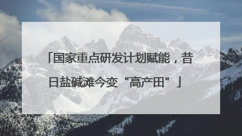 国家重点研发计划赋能，昔日盐碱滩今变“高产田”