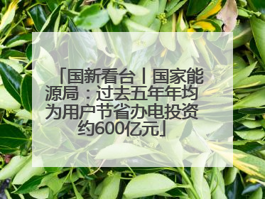 国新看台丨国家能源局：过去五年年均为用户节省办电投资约600亿元