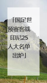 国足世预赛客战印尼25人大名单出炉