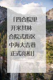 四合院里开米其林 合院式街区中海大吉巷正式亮相