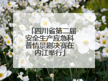 四川省第二届安全生产应急科普情景剧决赛在内江举行