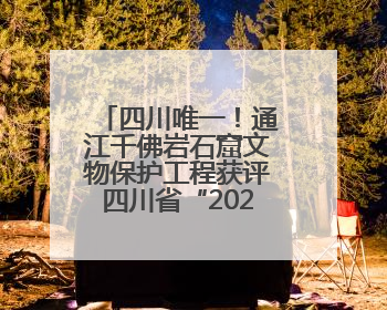 四川唯一！通江千佛岩石窟文物保护工程获评四川省“2025年文物保护优质工程”