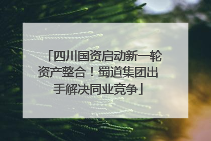 四川国资启动新一轮资产整合！蜀道集团出手解决同业竞争