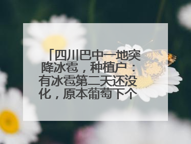 四川巴中一地突降冰雹，种植户：有冰雹第二天还没化，原本葡萄下个月上市，现在全被打落